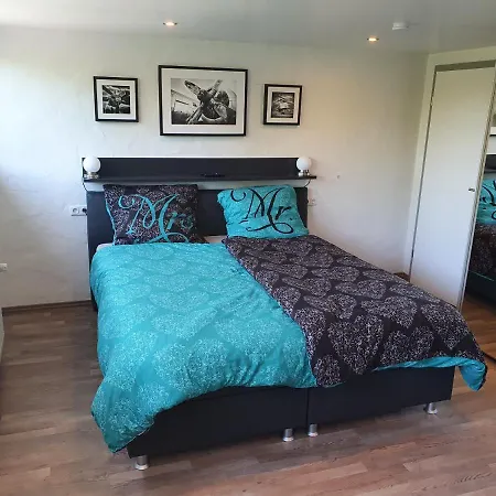 Schwarzer Kater Blankenheim (North Rhine-Westphalia)