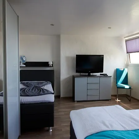 Schwarzer Kater * Blankenheim (North Rhine-Westphalia)