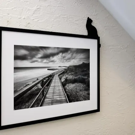 Schwarzer Kater Blankenheim (North Rhine-Westphalia)