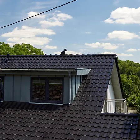 Schwarzer Kater * Blankenheim (North Rhine-Westphalia)