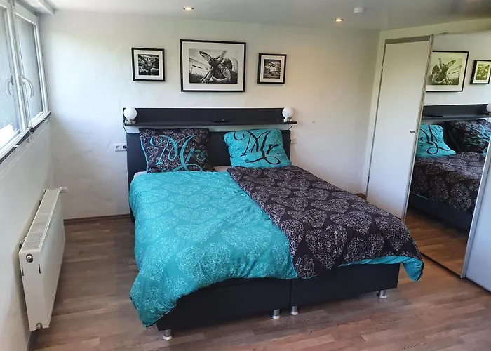 Schwarzer Kater Blankenheim (North Rhine-Westphalia)