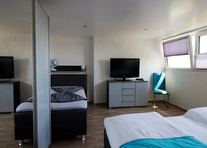 Schwarzer Kater * Blankenheim (North Rhine-Westphalia)