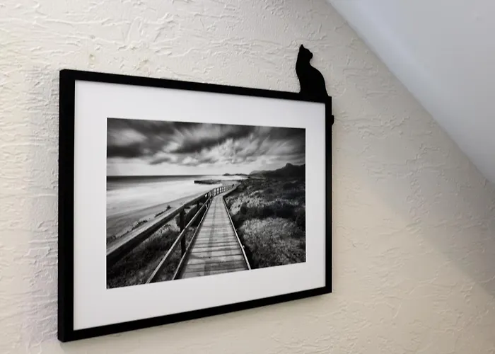 Schwarzer Kater 블랑켄하임