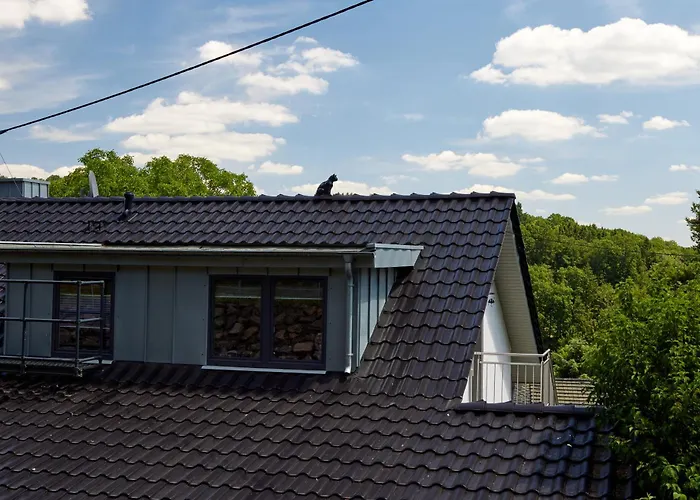 Schwarzer Kater * Blankenheim (North Rhine-Westphalia)