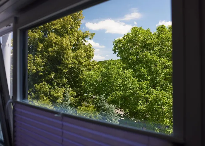 Schwarzer Kater 아파트